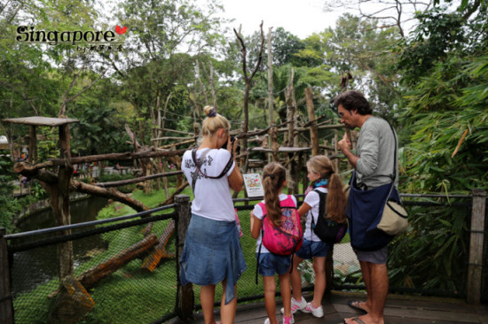 带孩子旅行不能错过的新加坡动物园