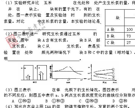 ٰ棺()