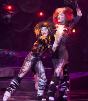 小资杀手锏～四大音乐剧《猫》、《歌剧院魅影》、《悲惨世界》、《西贡小姐》