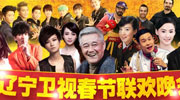 2013辽宁卫视春节晚会