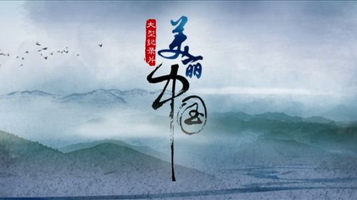 美丽中国》《<em>花豹女王</em>》