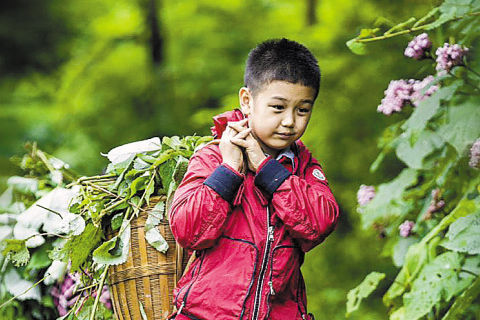 王艳望儿子成男子汉 三万零花钱是红包
