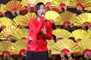 湖南华人春晚浓情上演 王力宏吉它酷炫