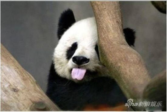 “你们在说什么好玩的事吗” “你们在说什么好玩的事吗”