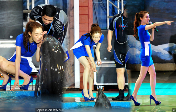 �������Ը��������� �뺣�����ܻ���