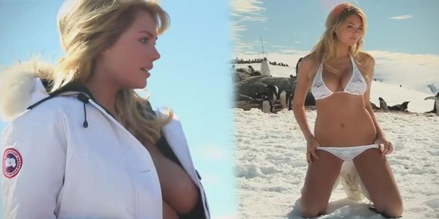 ���̳�ģ�ϼ��Ȼ���д��¶��