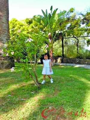 <em>赵薇晒女儿</em>小四月<em>照片</em>被赞淑女_影音娱乐_新