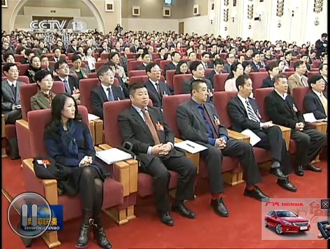 章子怡李冰冰参加致公党代表大会图