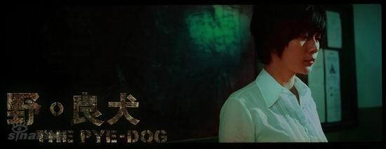 ����ͼƬ����Ӱ��Ұ-��Ȯ�����ʾ���(6)