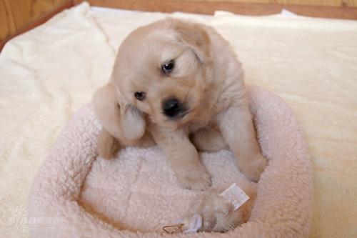 资料图片:电影《10个约定》最新剧照(6)