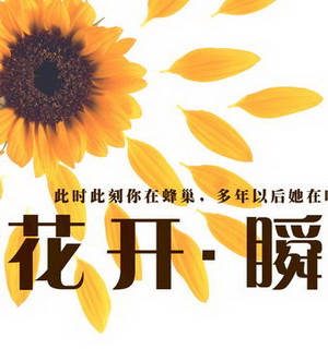 话剧《花开瞬间》演出海报