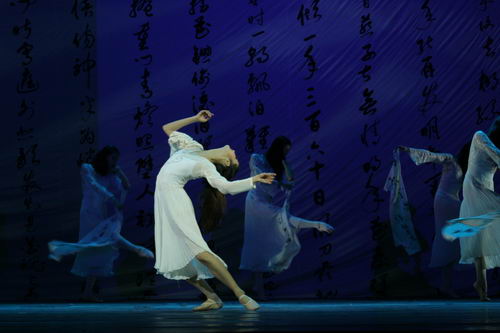 资料:广州芭蕾舞团《阳光下的石头--梦红楼》