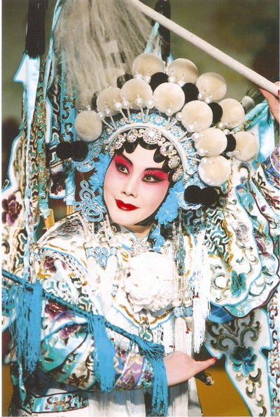 梅派艺术传人董圆圆与张建国共演《<em>杨门女将</em>》