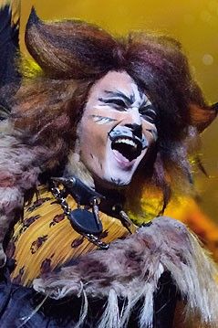   Rum Tum Tugger  ҡè