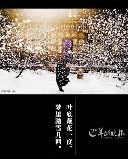 ���������һ����ʦ