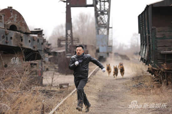 �ƺ�������