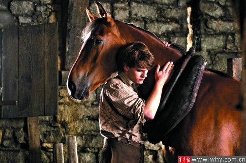 沪上马场放映厅热播《战马》“乔伊”就在身边_影音娱乐_新浪网