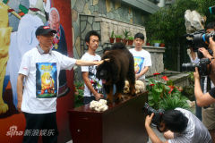 ������༪����ӳ��ϯ�α���ǰ��Ӱ(��ͼ)