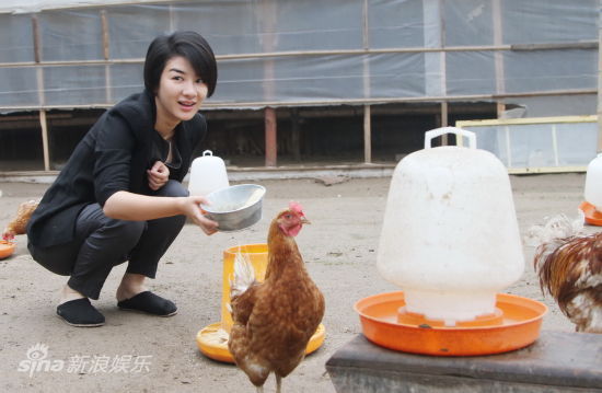 图文:《传·奇》探班-黄奕在养鸡场喂鸡
