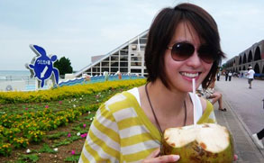 ��ӽ�����������������⺣̲