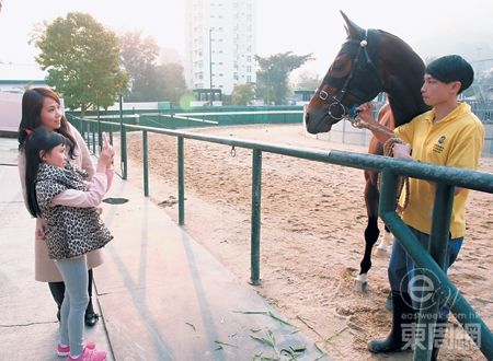 吕丽君带女儿看马