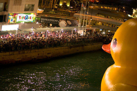香港大黄鸭引30万人围观 众明星拍照留念