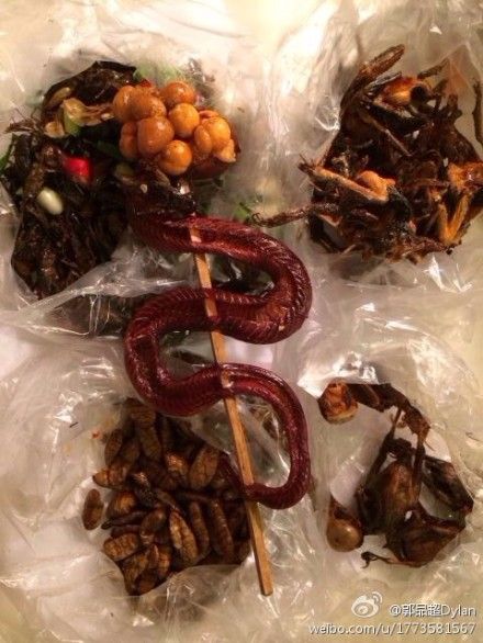 郭品超柬埔寨吃重口味点心：烤蟑螂蚯蚓