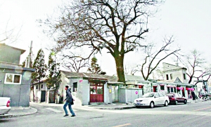 未来公公霍震霆为郭晶晶庆功【图】