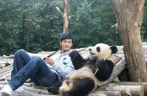 黄晓明关心自己在512地震期间收养的熊猫安危