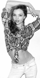 ���������մ�Ƭ����