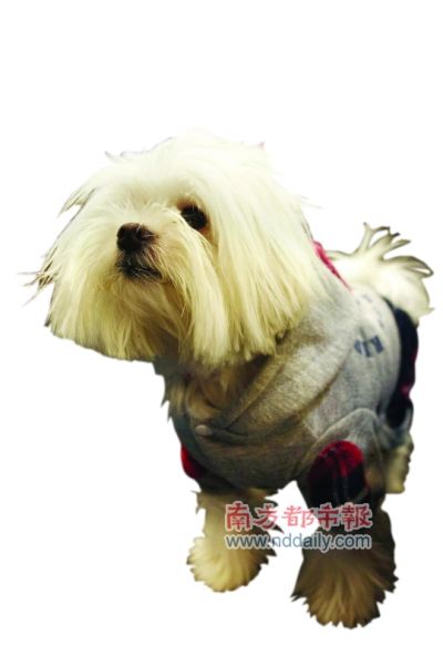 《全民最大党》独家探班 12小时准备1小时录影