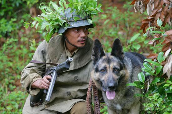 ������Ӱ���ꡱ��֮�����ಿ�缯����(ͼ)