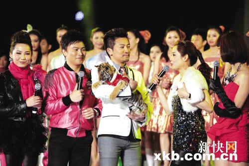 ����������ƴ���ݵ���̨����������