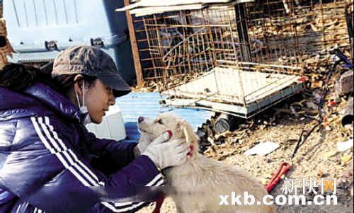 李孝利复出再战江湖歌曲剽窃事件后积极公益