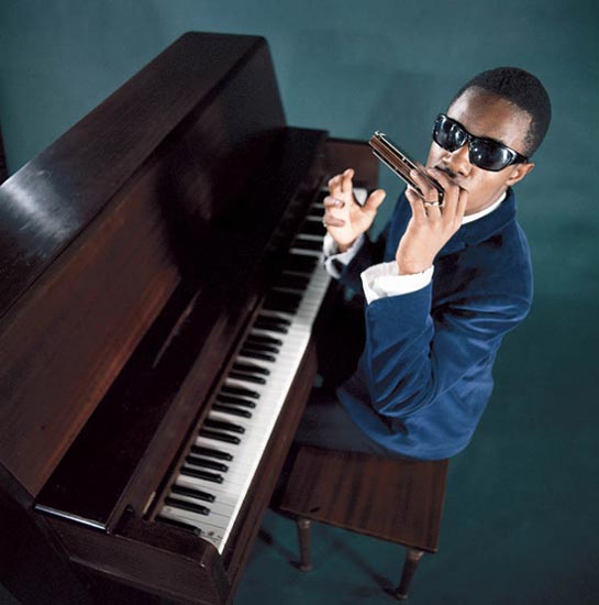 Ħд棺StevieWonder(3)