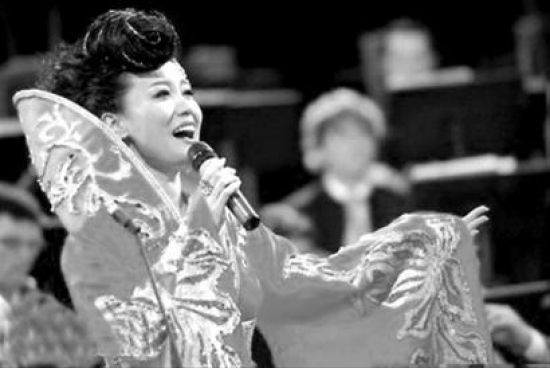 上海与维也纳音乐直通 登金色大厅不是传说(图