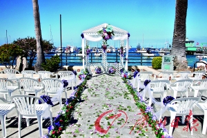 �������ӡ��ޱ�ͻȻ�ɻ鹷�ж���ֱ���ɻ�ֱ��