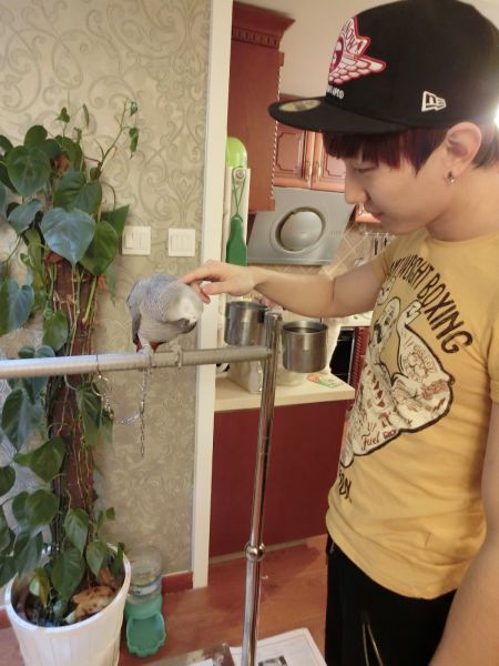 HOPE组合朱晨辰养鹦鹉 被曝是宠物控|朱晨辰