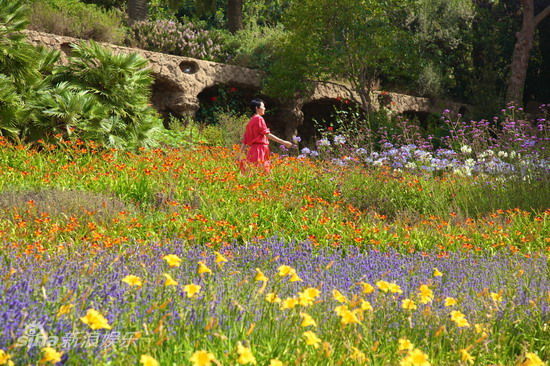 图文:梁咏琪新歌MV花絮-梁咏琪花丛中拍MV