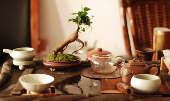 唐诗里的那些茶
