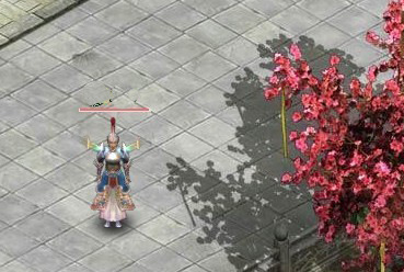 女装正面 女装正面