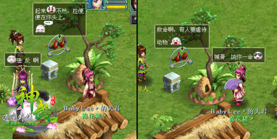 �Գ���Ҫ���벻��