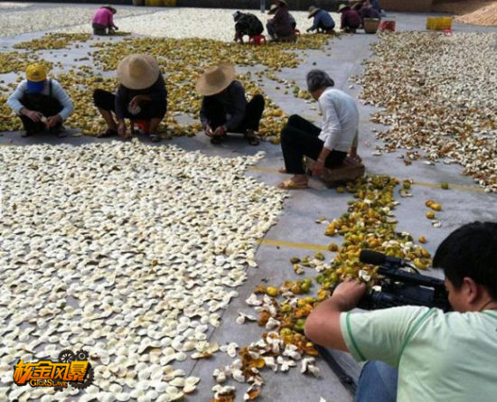 舌尖上的中國拍攝花絮