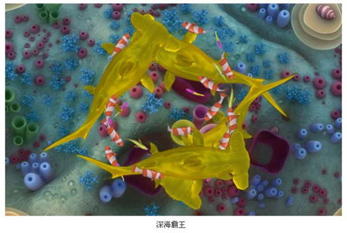 游戲截圖