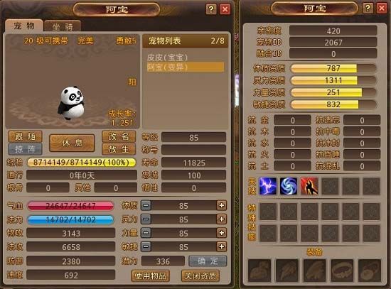 宠物 宠物