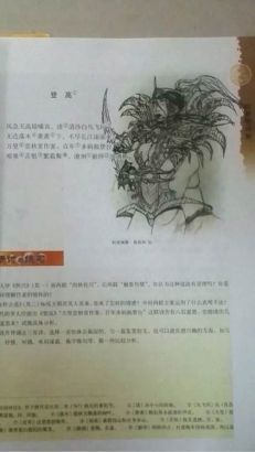 �Ÿ���COS����