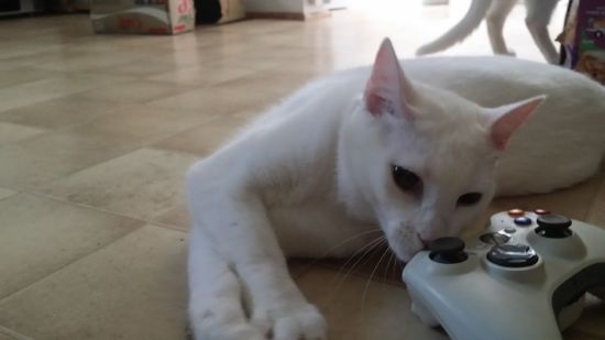 ��ҳ�������Ϸ���ȴ����� (2)