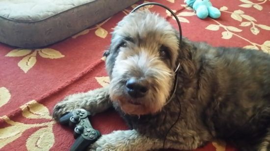 ��ҳ�������Ϸ���ȴ����� (12)