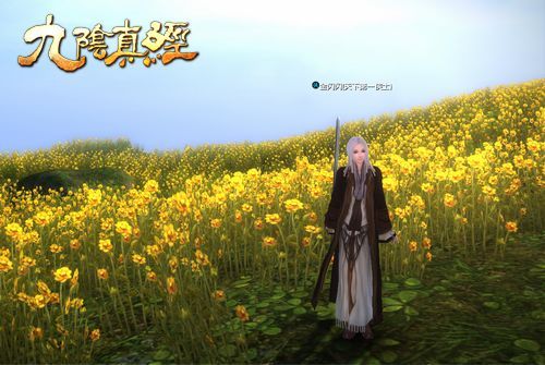 侠义剑客金闪闪 九阴女玩家的武侠江湖_九阴