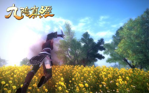 侠义剑客金闪闪 九阴女玩家的武侠江湖_九阴